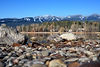 Whitefish Lake